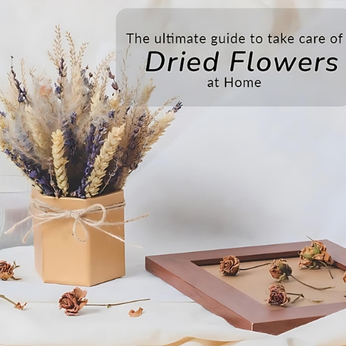 The Ultimate Guide To Take Care Of Dried Flowers At Home