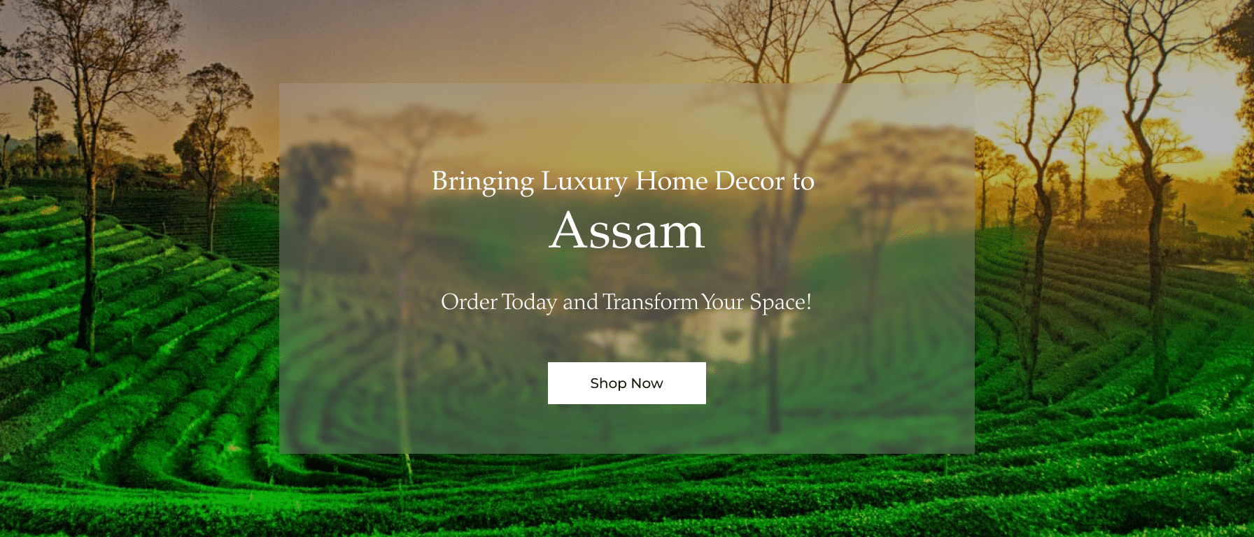 location-assam