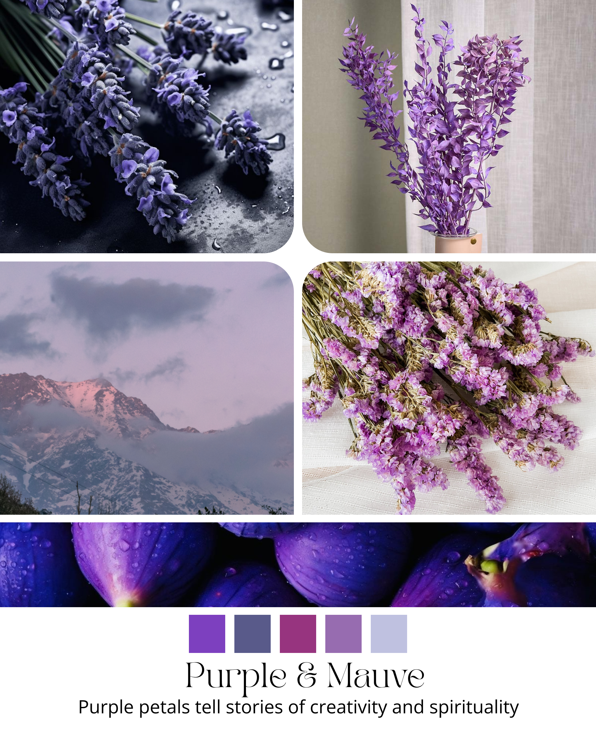 shop-by-color-purple